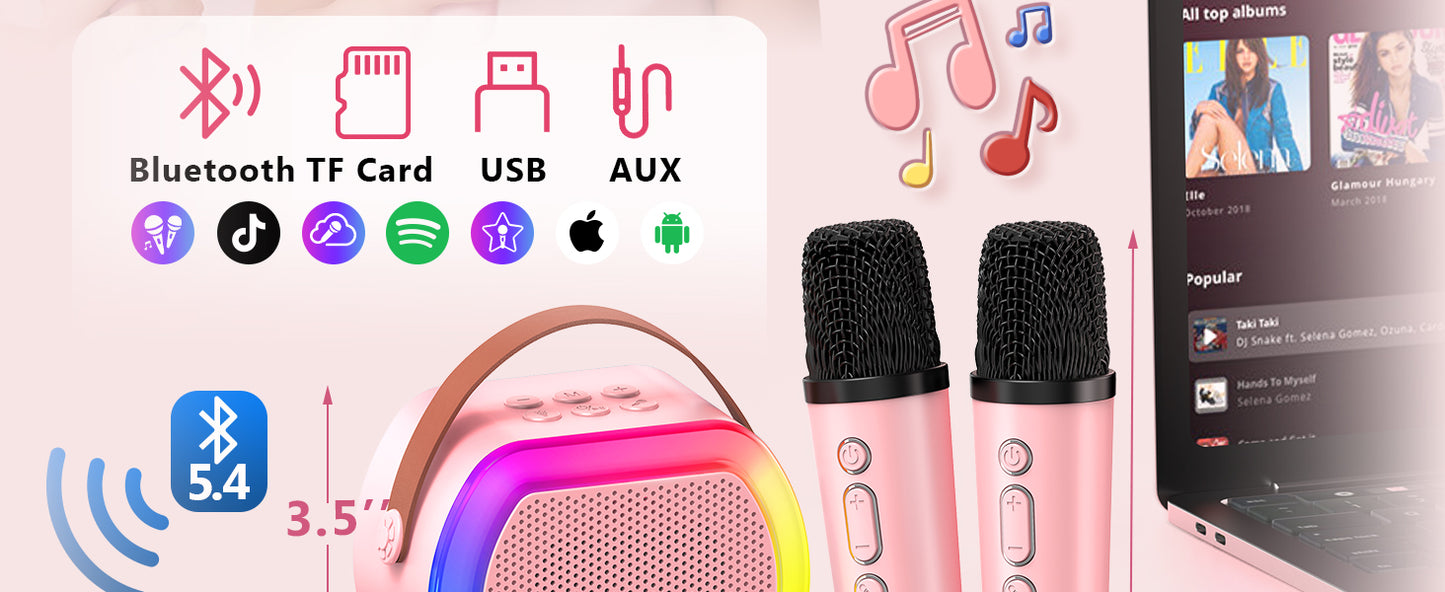Mini Karaoke Machine with 2 Wireless Microphones