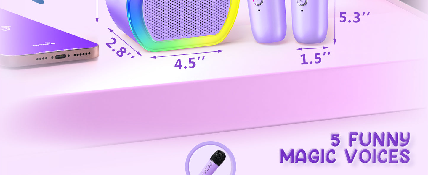Mini Karaoke Machine with 2 Wireless Microphones